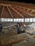 Kleintiermarkt beim Hauserwirt 03. April 2022 (8).jpg