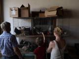 4. Kleintiermarkt mit Hahnenwettkrähen (24).jpg
